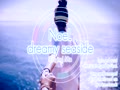 dreamy seaside feat NoeL(Original Mix)