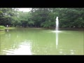 小さな涼を求めて　公園の噴水と名主の滝　令和元年夏.mp4